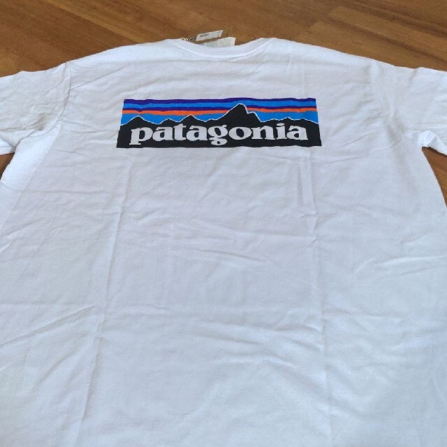 patagonia(パタゴニア)のpatagonia パタゴニア レスポンシビリティー Tシャツ メンズのトップス(Tシャツ/カットソー(半袖/袖なし))の商品写真