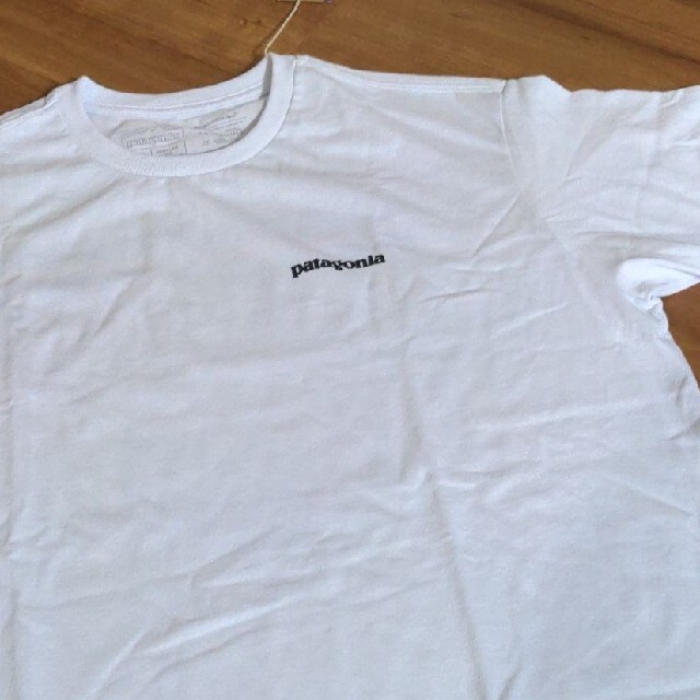 patagonia(パタゴニア)のpatagonia パタゴニア レスポンシビリティー Tシャツ メンズのトップス(Tシャツ/カットソー(半袖/袖なし))の商品写真