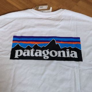 パタゴニア(patagonia)のpatagonia パタゴニア レスポンシビリティー Tシャツ(Tシャツ/カットソー(半袖/袖なし))