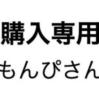 もんぴさん専用(その他)