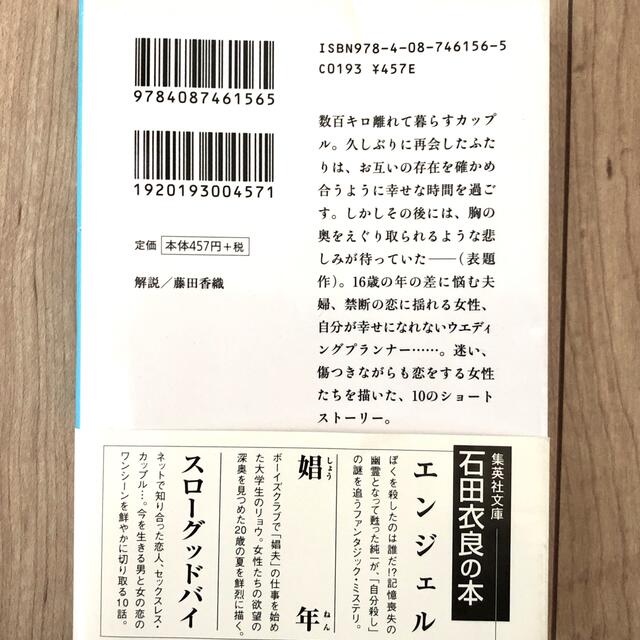 １ポンドの悲しみ エンタメ/ホビーの本(文学/小説)の商品写真