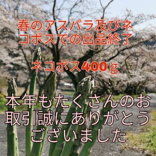 春のアスパラ終了　島根県産アスパラ　400ｇ　ネコポス　リピーター様200円引き(野菜)