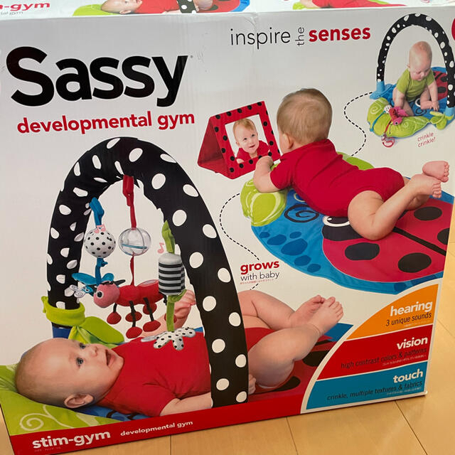 Sassy(サッシー)のsassyサッシー　ベビージム キッズ/ベビー/マタニティのおもちゃ(ベビージム)の商品写真