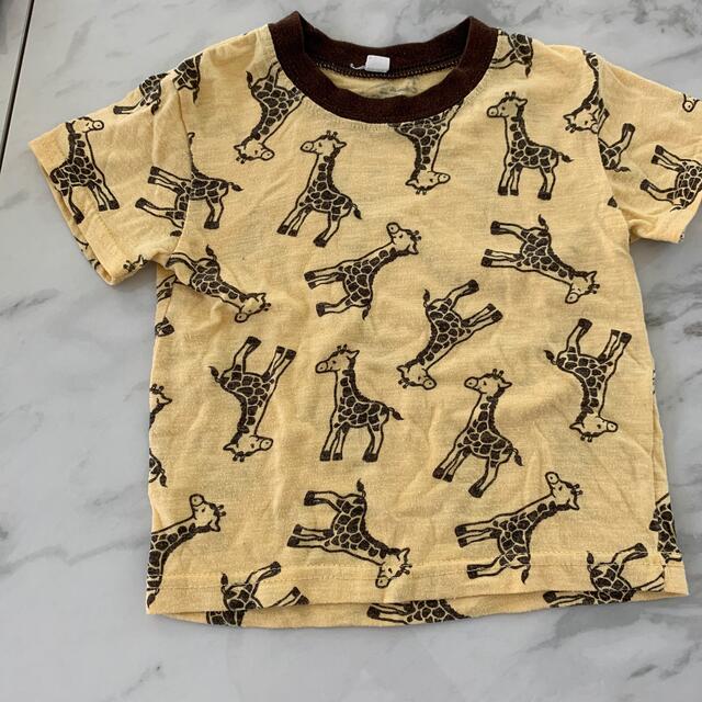 BOOFOOWOO(ブーフーウー)の80 パンツ　ティシャツ キッズ/ベビー/マタニティのベビー服(~85cm)(Ｔシャツ)の商品写真