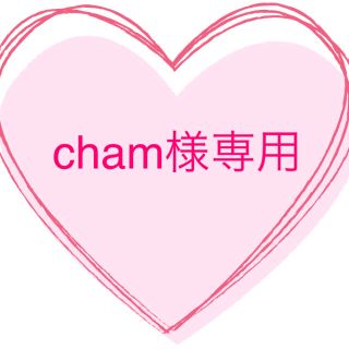 cham様専用(その他)