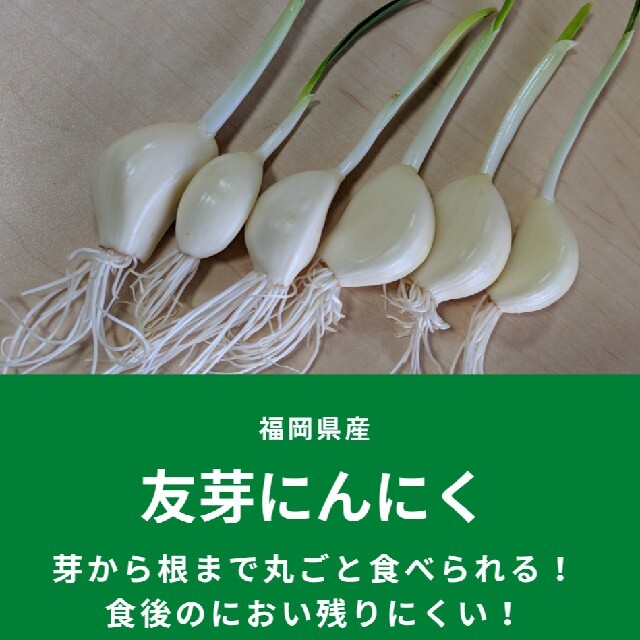 友芽にんにく【osaka様専用】 食品/飲料/酒の食品(野菜)の商品写真