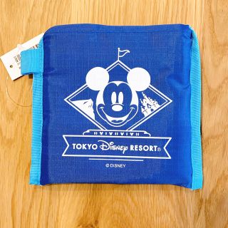 ディズニー(Disney)のディズニー　エコバッグ(エコバッグ)