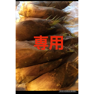 スノーフレーク様　極上の岡山県産たけのこ10キロ弱(野菜)