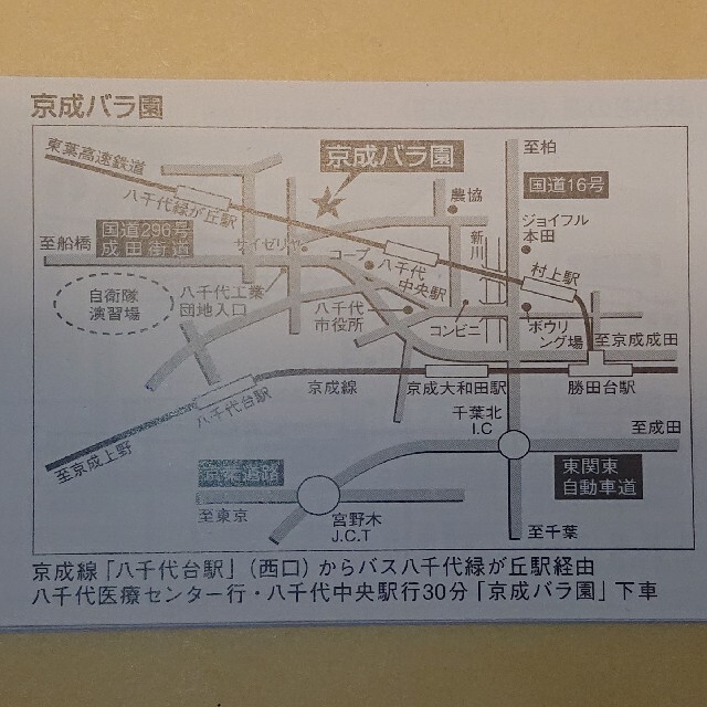 京成バラ園 ローズガーデン 最大12名様 入場料金50%割引券 チケットの施設利用券(遊園地/テーマパーク)の商品写真