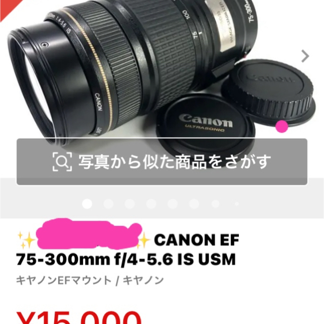 手振れ補正Canon EF 75-300mm f/4-5.6 IS USM 数量限定セール 40.0