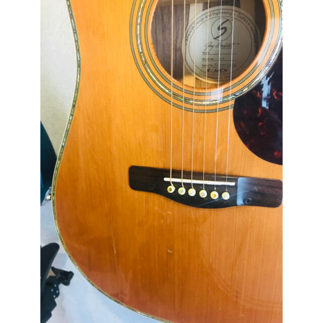 完成品 レア!訳ありジャンク格安で!Greg bennett アコースティック