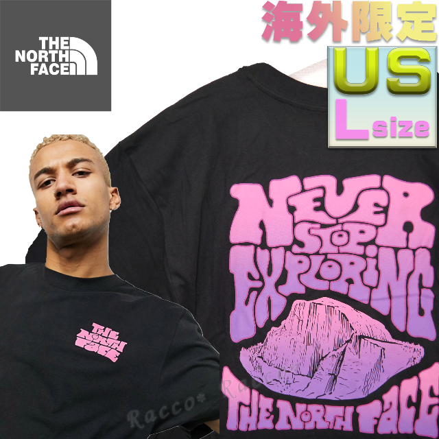 US L 【海外限定】ノースフェイス　logohaze　Tシャツ 黒 ボックス