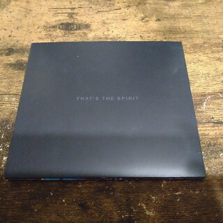 bring me the horizon/that's the spilit (ポップス/ロック(洋楽))