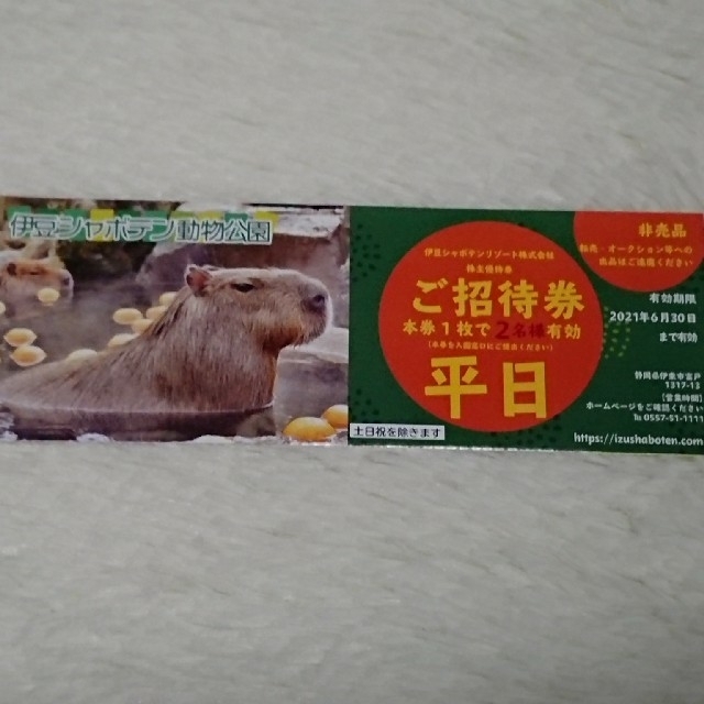 伊豆シャボテン動物公園 (平日)ご招待券 チケットの施設利用券(動物園)の商品写真