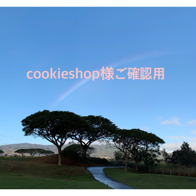 cookieshop様ご確認用 ハンドメイドのフラワー/ガーデン(その他)の商品写真