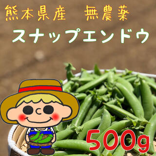 【無農薬】熊本県産　スナップエンドウ　500g(野菜)