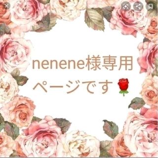 nenene様専用ページです♪天然石アクセサリー５点セット、ネックレス、ピアス(ネックレス)