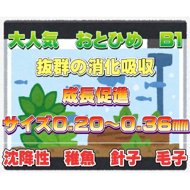 選べるお試し2種類セット！ おとひめ 餌 15g その他のペット用品(ペットフード)の商品写真