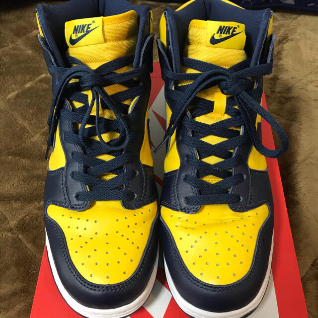 Nike Dunk Hi SP Michigan2020 28㎝ ダンク 美