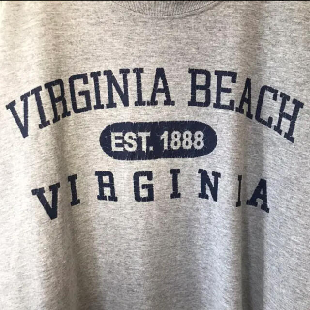 フルーツオブザルーム•VIRGINIA•半袖Tシャツ•グレー•プリント•XL メンズのトップス(Tシャツ/カットソー(半袖/袖なし))の商品写真