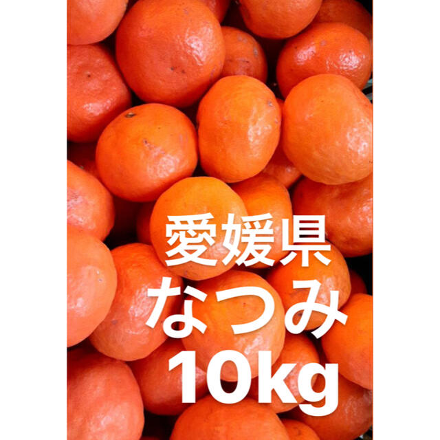 愛媛県　なつみ　10kg 食品/飲料/酒の食品(フルーツ)の商品写真