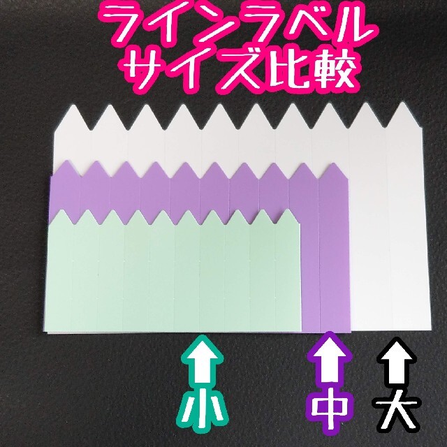 ◎100枚◎(小)  ホワイト ラインラベル 園芸ラベル カラーラベル ハンドメイドのフラワー/ガーデン(その他)の商品写真