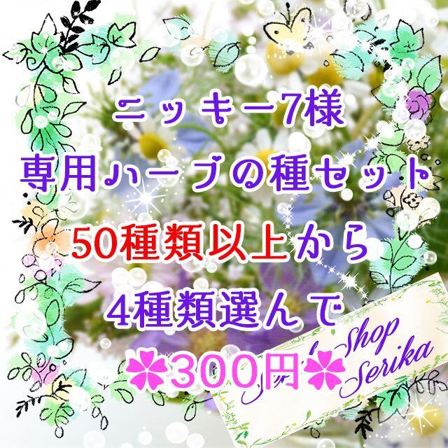 ニッキー7様専用 ハーブの種セット 家庭菜園 野菜 ハンドメイドのフラワー/ガーデン(その他)の商品写真