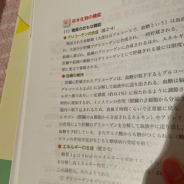 講談社(コウダンシャ)の最新子どもの食と栄養 食生活の基礎を築くために 第９版 エンタメ/ホビーの本(科学/技術)の商品写真