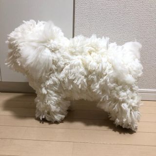 トリマー　教材　トリミング　カットマネキン　プードル練習用(犬)