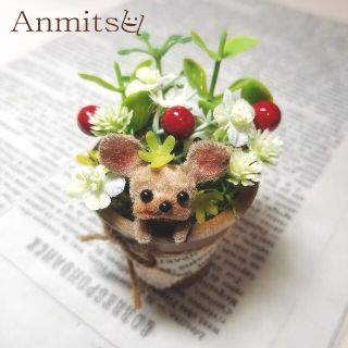 専用ページ   鉢植えわんこ🐾　ヨークシャーテリア(その他)