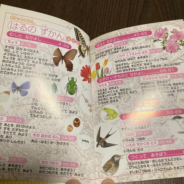 ポケット図鑑　春夏秋冬　計4冊セット エンタメ/ホビーの本(絵本/児童書)の商品写真