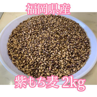 【栄養満点】福岡県産紫 もち麦2kg(米/穀物)