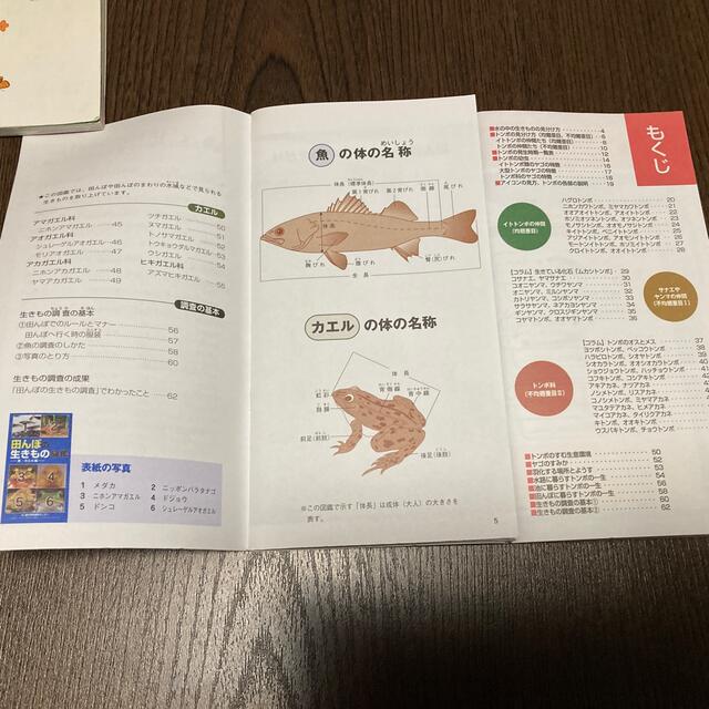 田んぼの生き物図鑑 エンタメ/ホビーの本(絵本/児童書)の商品写真