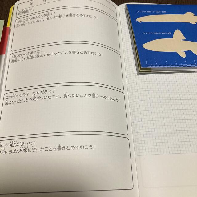 田んぼの生き物図鑑 エンタメ/ホビーの本(絵本/児童書)の商品写真