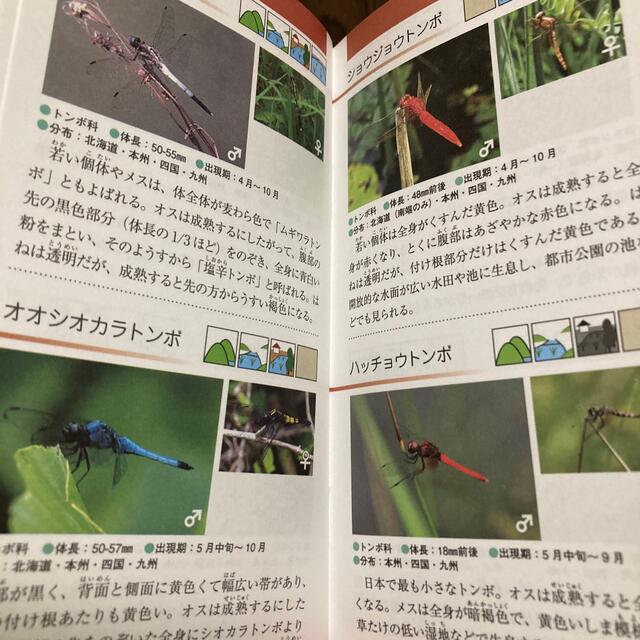 田んぼの生き物図鑑 エンタメ/ホビーの本(絵本/児童書)の商品写真