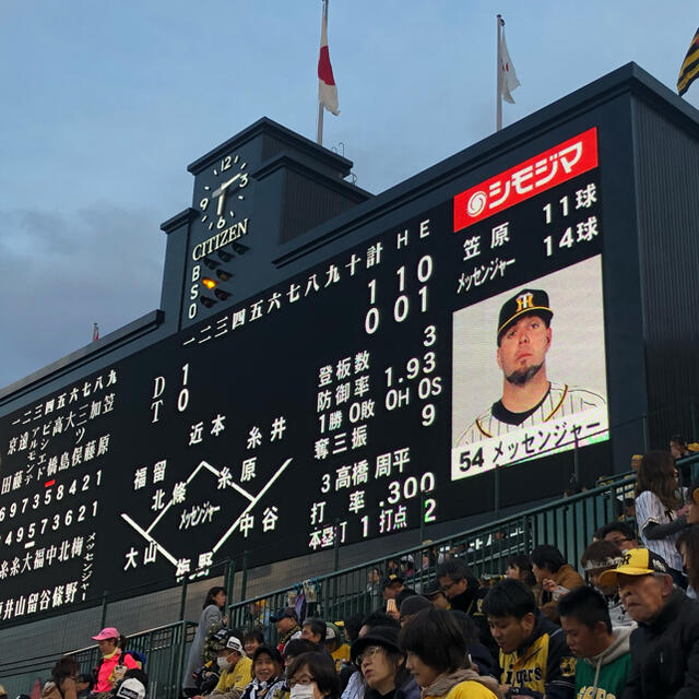 阪神タイガース(ハンシンタイガース)のれいんぼー様専用6月4日甲子園阪神vsソフトバンクライトスタンドペアチケット チケットのスポーツ(野球)の商品写真