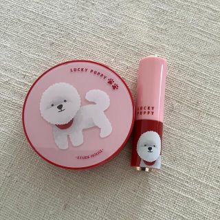 エチュードハウス(ETUDE HOUSE)のエチュードハウス　ビションフリーゼ☆(ファンデーション)