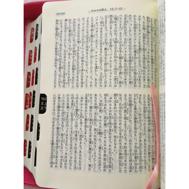 ＊新共同訳　ミニ判聖書　ジッパーつき、サムインデックスつき＊ピンク エンタメ/ホビーの本(人文/社会)の商品写真