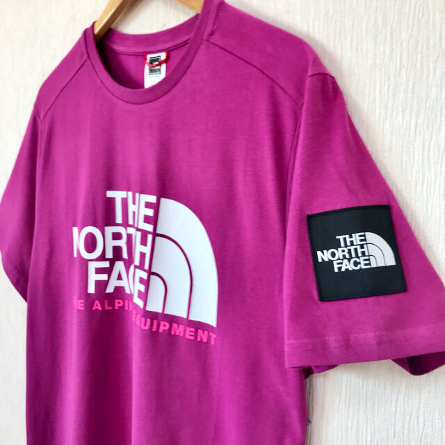 THE NORTH FACE(ザノースフェイス)のビッグサイズ ♪ ノースフェイス ファイン アルパイン Tシャツ EU パープル メンズのトップス(Tシャツ/カットソー(半袖/袖なし))の商品写真