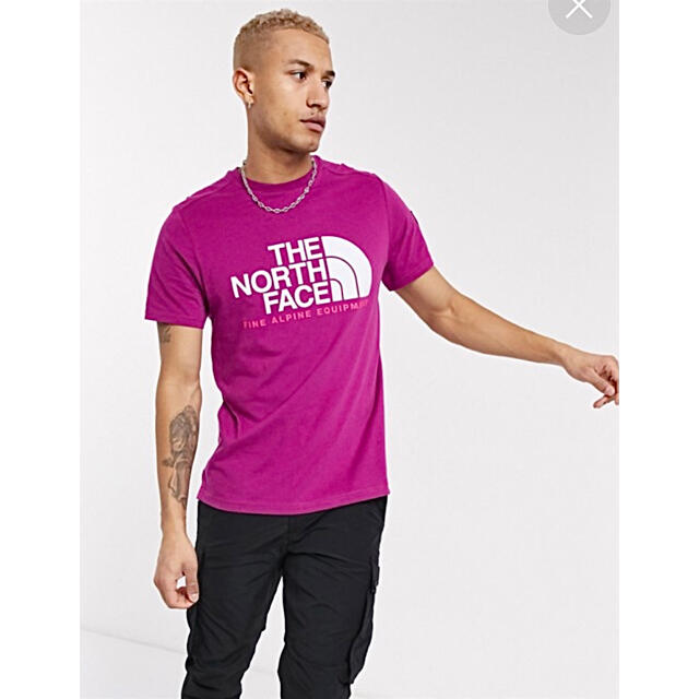 THE NORTH FACE(ザノースフェイス)のビッグサイズ ♪ ノースフェイス ファイン アルパイン Tシャツ EU パープル メンズのトップス(Tシャツ/カットソー(半袖/袖なし))の商品写真