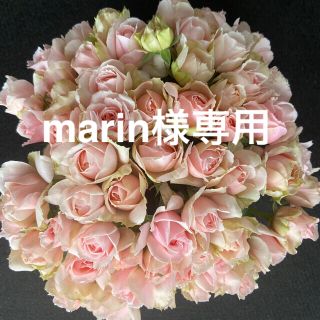 marin様専用　40㎝✖︎30本(その他)