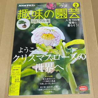 NHK 趣味の園芸 2021年 02月号(専門誌)