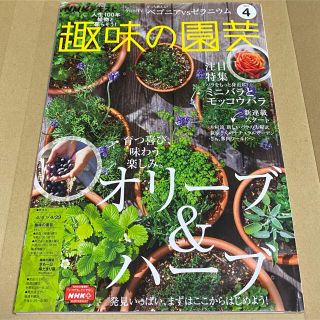 みゅうっち様　専用(専門誌)