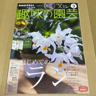 NHK 趣味の園芸 2021年 03月号(専門誌)