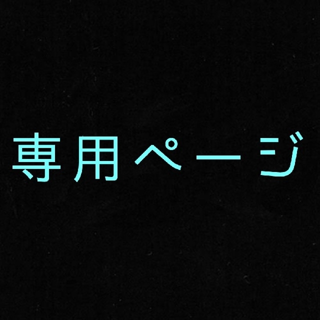 その他専用ページ