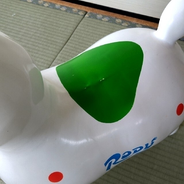 Rody(ロディ)の☆hona様専用☆RODY乗用  空気入れ 替栓 収納袋付 ストア限定カラー キッズ/ベビー/マタニティのおもちゃ(その他)の商品写真