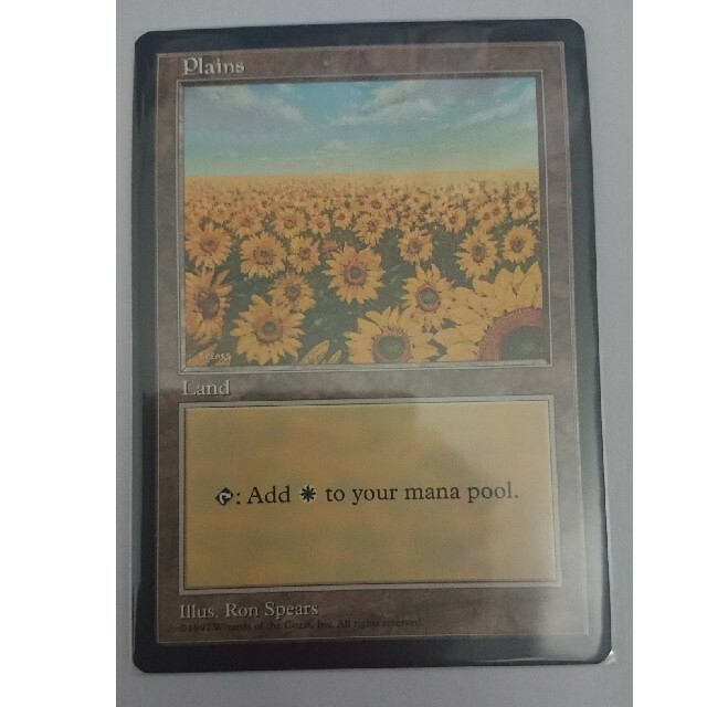 マジック:ザ・ギャザリング - マジック MTG APACランド ひまわり APAC