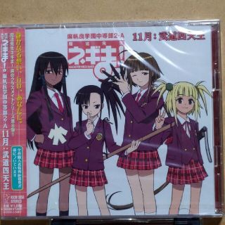 魔法先生ネギま! 麻帆良学園中等部2-A 「11月：武道四天王」 (アニメ)