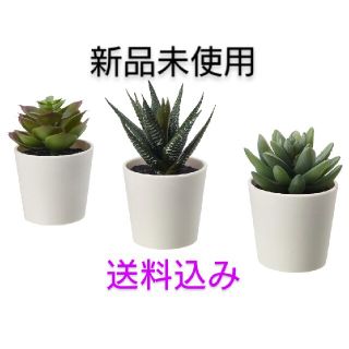 イケア(IKEA)のIKEA　イケア　フェイカ　人工観葉植物　フェイクグリーン(置物)