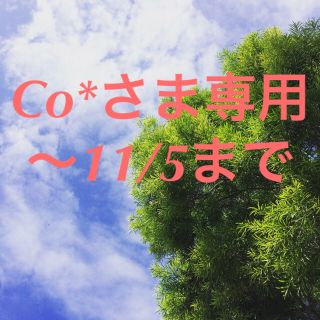 アパートバイローリーズ(apart by lowrys)の《Co*さま 専用 〜11/5》(ニット/セーター)